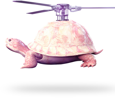 Flying tortoise