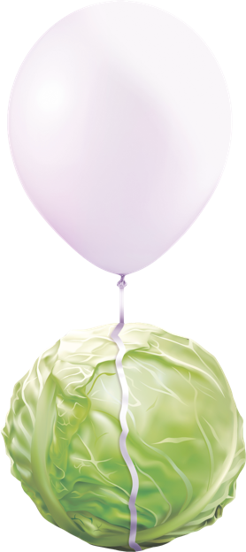 Balloon attached to lettuce