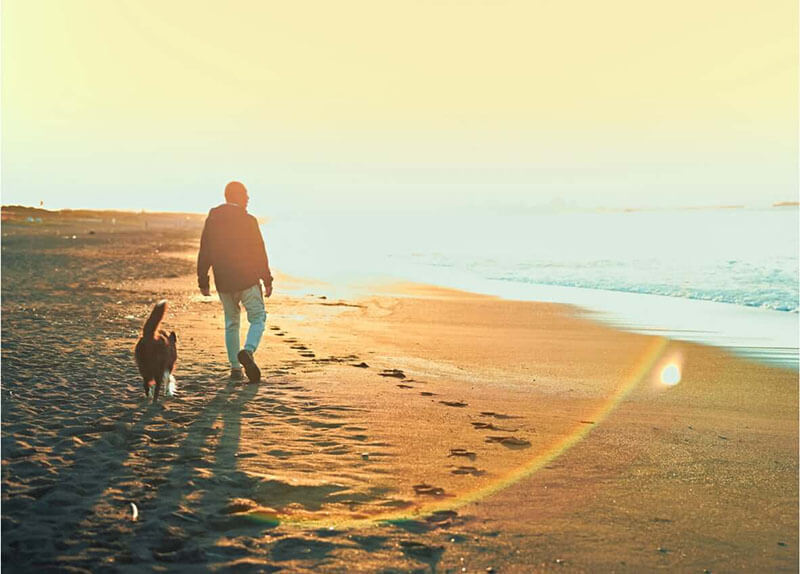 man walking a dog on beach