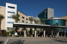 Nurses Step Up in Crisis