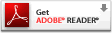Adobe reader icon