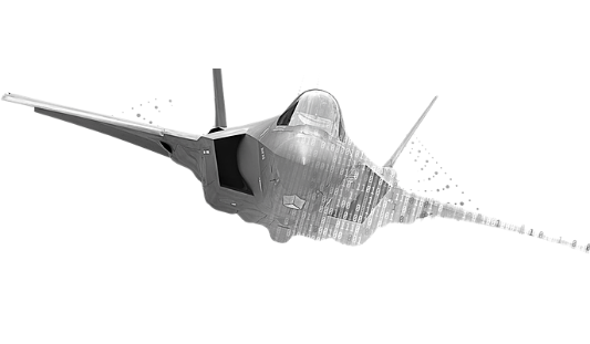 Cyber Roles in Aeronautics