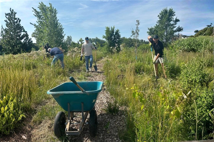 McKesson employee smiling, planting a tree