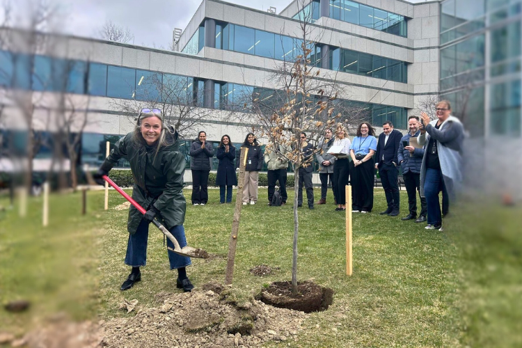 McKesson employee smiling, planting a tree