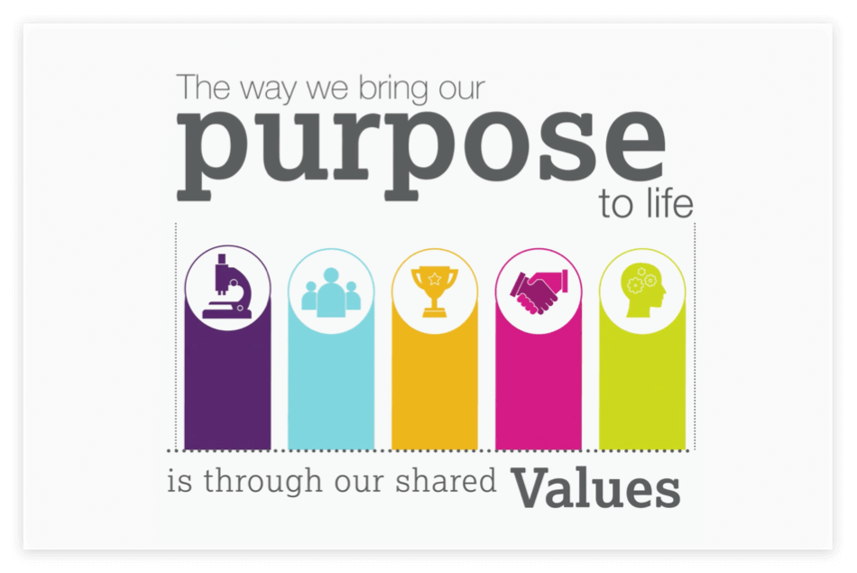 Purpose and Values