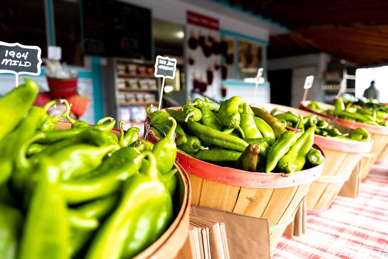 Hatch chilies at the Albuquerque Chili festival