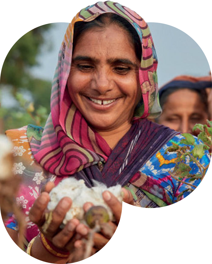 A woman in a sari holding a cotton plant, showcasing the beauty of traditional attire and the significance of cotton cultivation.