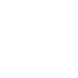 Ireland Dublin Badge