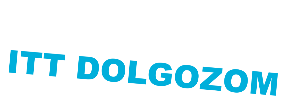 AMIÉRT ITT DOLGOZOM