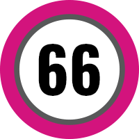 66