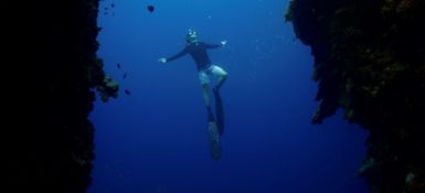 A man wearing a wetsuit and diving fins dives into the sea.