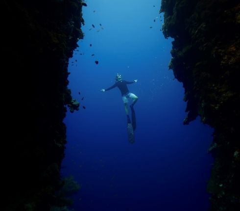 A man wearing a wetsuit and diving fins dives into the sea.