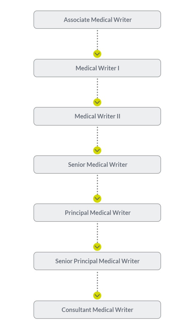 Visual description of the career path