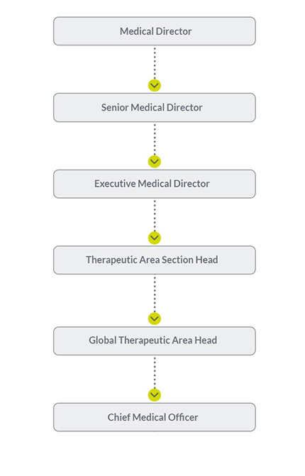 Illustrated Career path: Medical Director, Senior Medical Director, Executive Medical Director, Therapeutic Area Section Head, Global Therapeutic Area Head, Chief Medical Officer