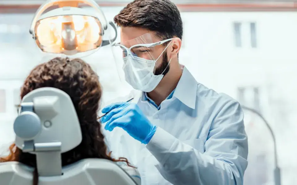 vet operating on an animal