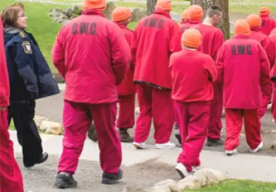 Inmates walking in a prison field